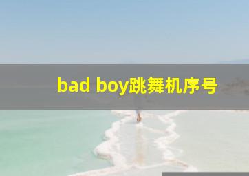 bad boy跳舞机序号